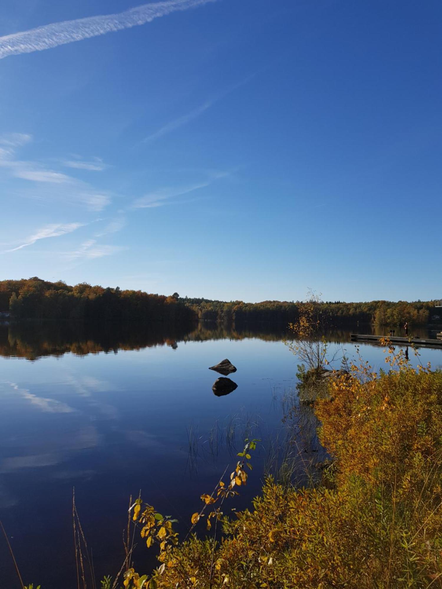 Halens Camping Och Stugby Olofström Buitenkant foto